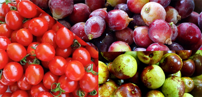 1699342458.jpg 000010.jpg