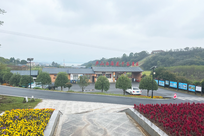 1699949946.jpg 7-11.jpg